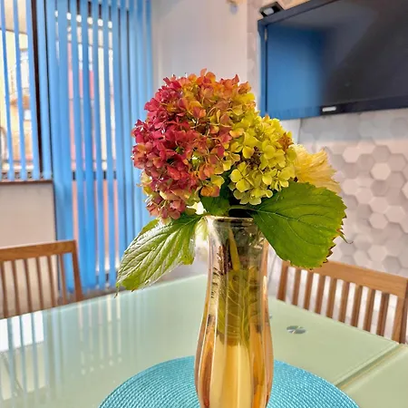 Апартаменты Galateya *